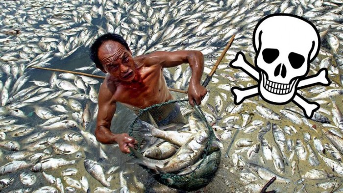 10 Deadliest Foods In China Tainted By Plastic, Pesticides, And Cancerous Chemicals