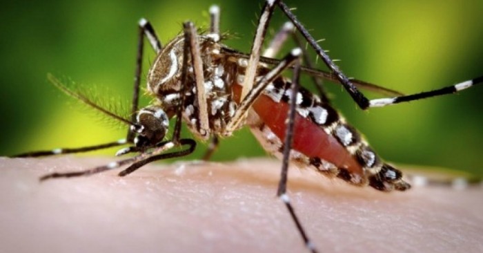 Zika Virus Used As Pretext to Pass “Zika Vector Control Act” Supporting Pesticide Use Near Waterways