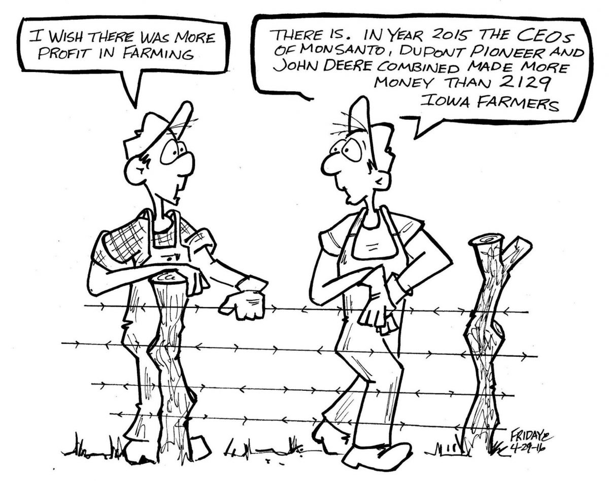 friday farmer