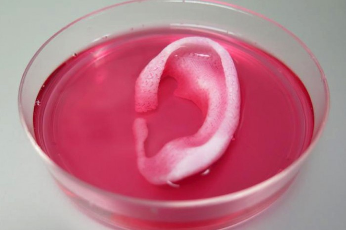 North Carolina Doctors Are Now Printing “Living” Body Parts