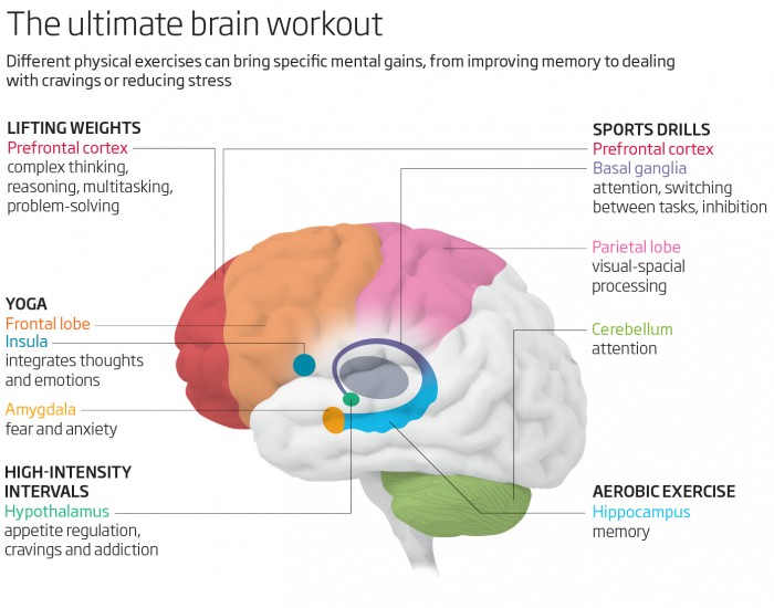 Five Different Physical Exercises That Affect The Brain In Very Different Ways