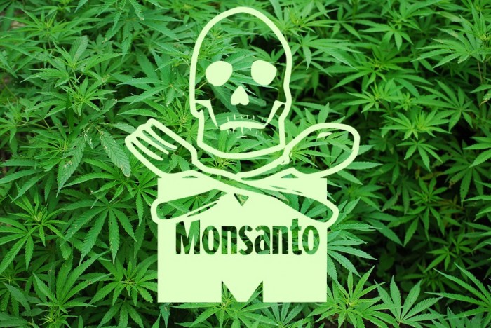 The War on Weed Is Winding Down – but Will Monsanto Be the Winner?