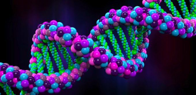 Scientists Are Using Corporate Funds to Rewrite the Human Genome From Scratch