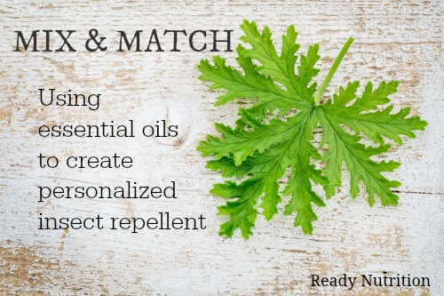 Mix and Match: Using Essential Oils to Create Personalized ...