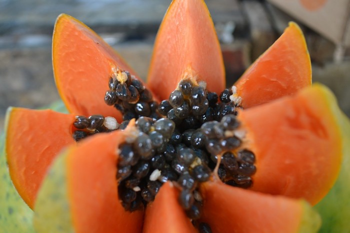 Papaya Power: Healing Qualities of This Tropical Fruit