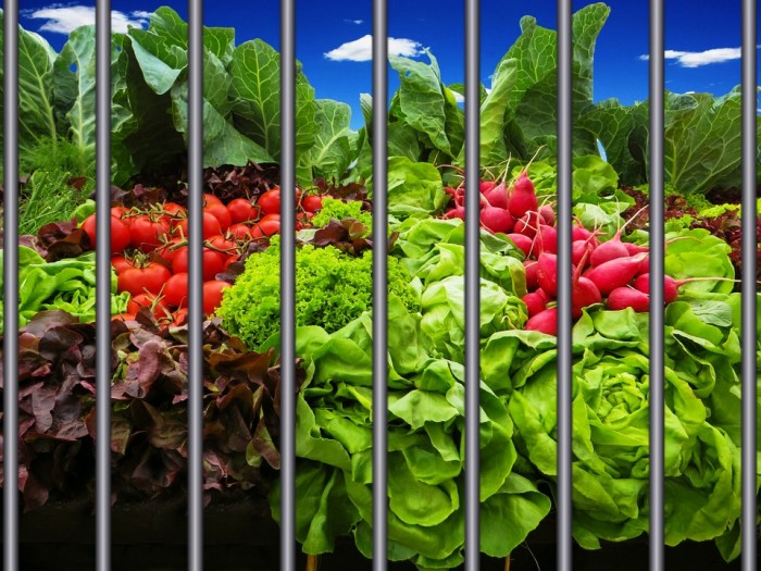 FL Attorney Says Growing Vegetables Not a Fundamental Right