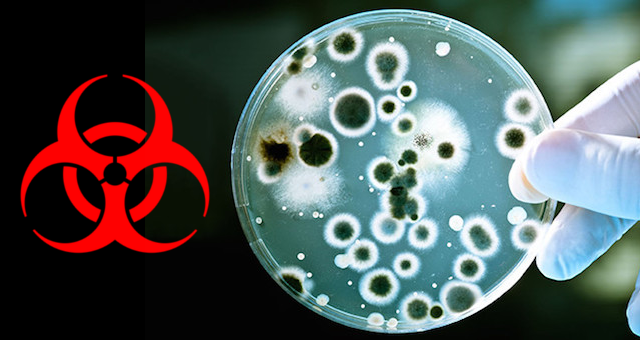 Biohazard-Bacteria
