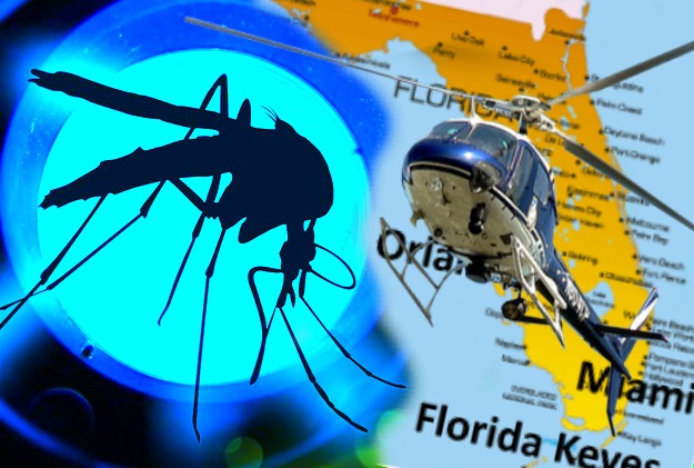 Zika Mosquitoes Same as GM Mosquitoes Released Off the Coast of Florida