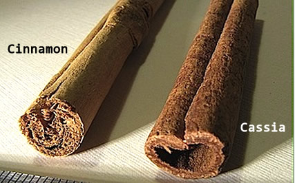The Right Kind of Cinnamon Enhances Memory, Improves Learning Ability And Can Reverse Parkinson’s