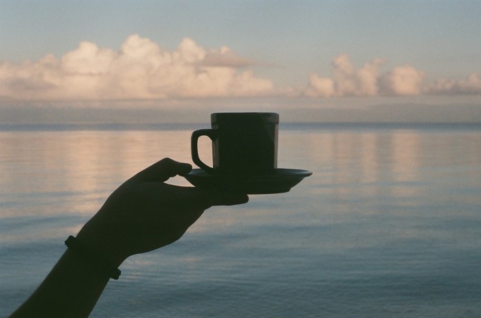 Balancing Tea and Coffee Lowers Incidence of Metabolic Disorders