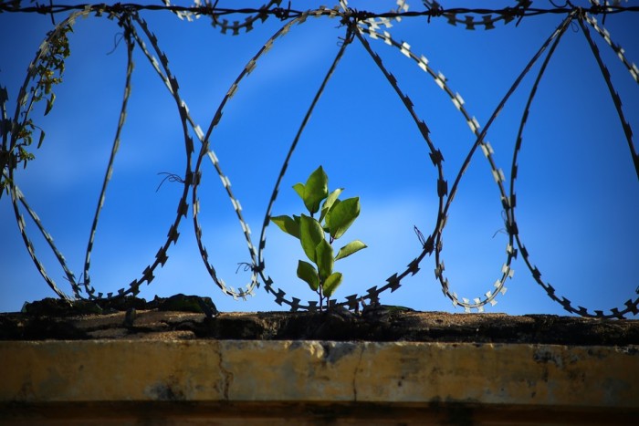 Incarceration or Rehabilitation: What Works Best?