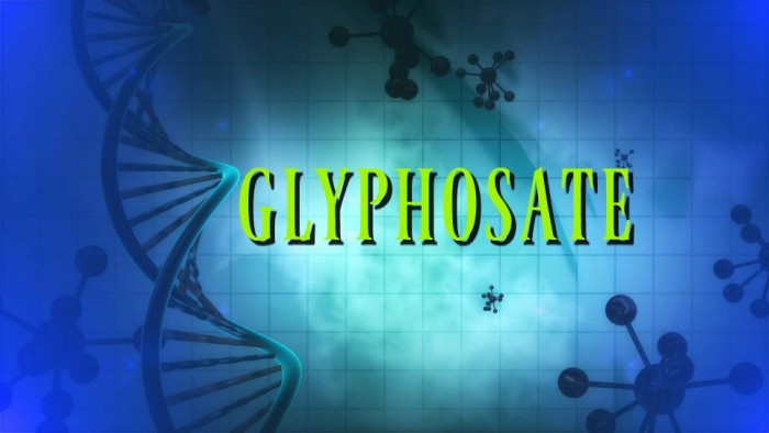 Groundbreaking Review Shows How Glyphosate Alters DNA Toward Chronic Illness
