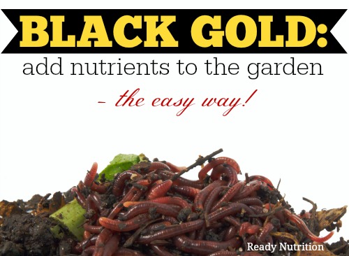 Black Gold: Add Nutrients to the Garden – The Easy Way!