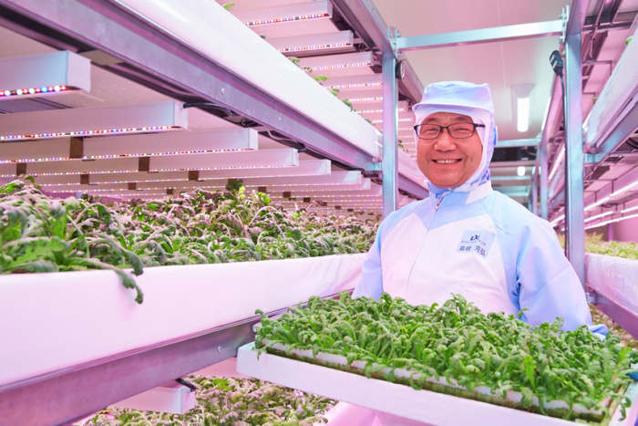 Japan Tries Radiation-Free, Pesticide-Free Vertical Farming With LED Lights