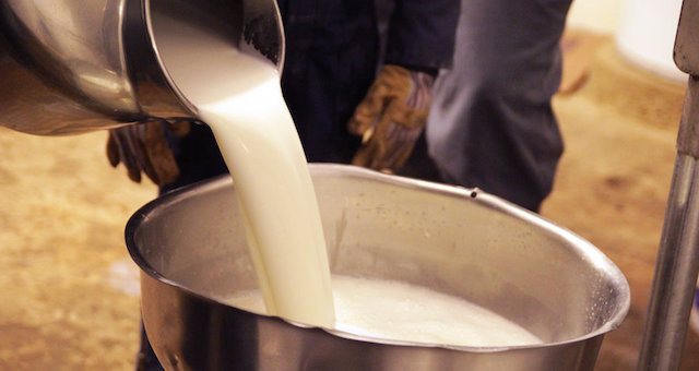 Vermont House Passes Bill to Expand Raw Milk Sales; Foundation to Nullify Federal Prohibition Scheme