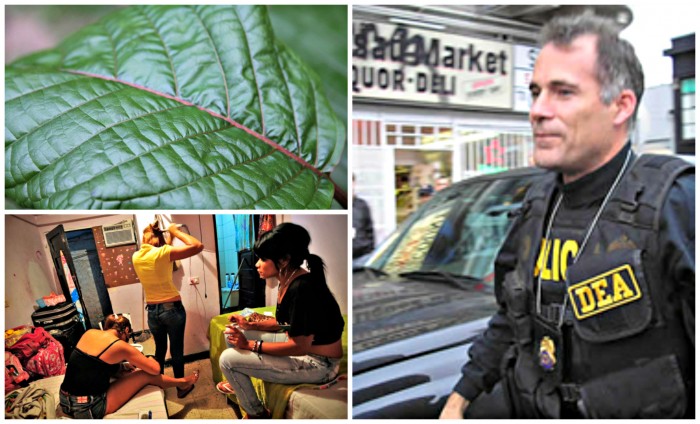 Kratom Now Schedule 1: Cartel Sex Scandal Shamed DEA Suppresses Herb Imports