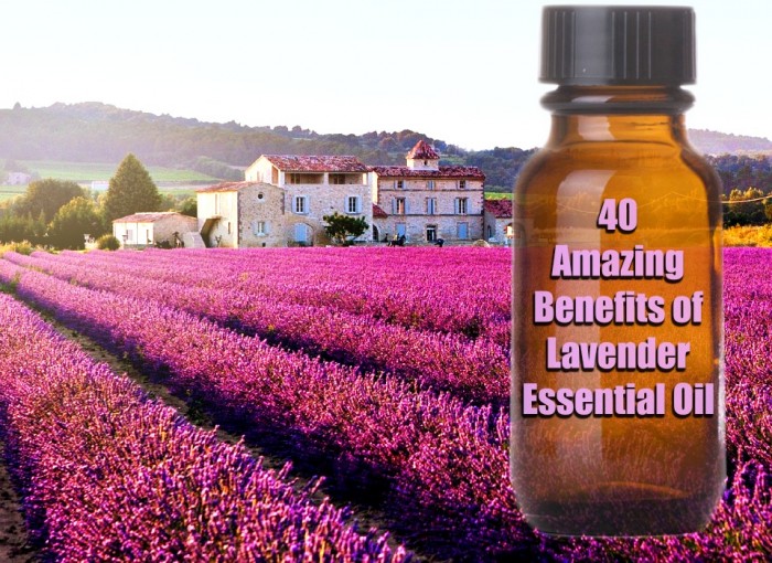 40 Amazing Health Benefits of Lavender Essential Oil