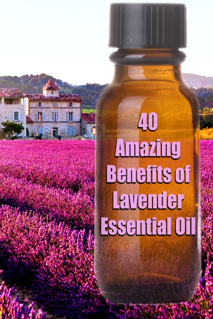 pinterest lavender oil