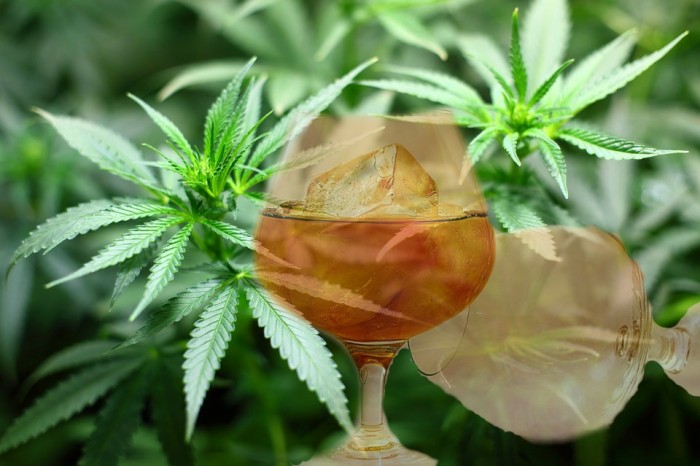 WikiLeaks: Alcohol Industry Bribed Congress To Denounce Cannabis