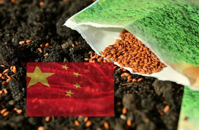 Growing Organic Market in China But Is It Only For the Rich?