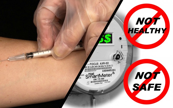 Constitutional And Religious Objections To AMI Smart Meters And Vaccines