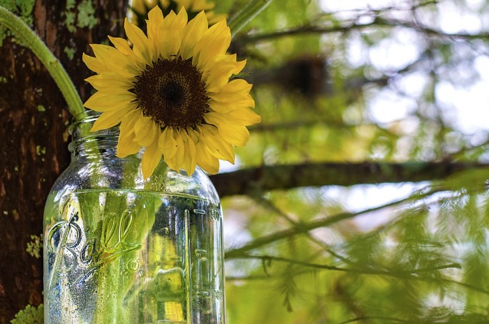 20 Creative Ways To Use Mason Jars to Cut Waste