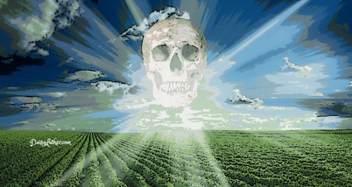 Monsanto’s New Illegal Poison Kills Neighbors’ Crops — EPA Does Nothing