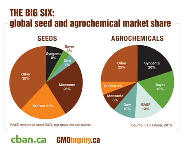 Bayer Monsanto Acquisition Triggers Anti-Competition Fears: Canadian Groups Want Competition Review