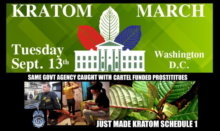 Kratom March on DC 9/13: Stories of the Devastated if DEA’s Kratom Ban Is Fulfilled