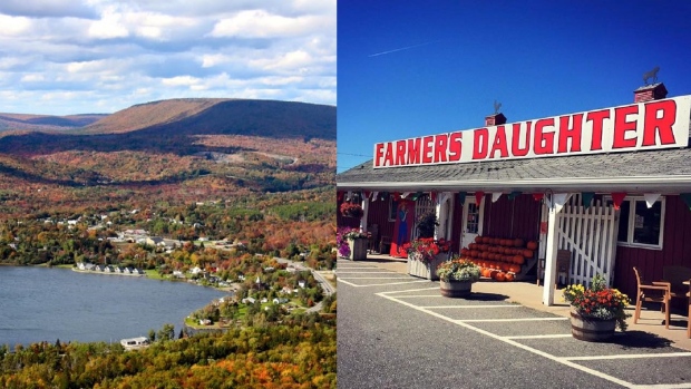 This Canadian Store Is Giving Away 2 Acres Of Land To Anyone Willing To Work There