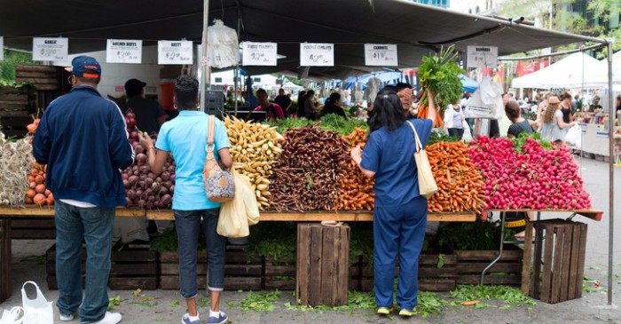 Enormous Green Hub Market to Offer Relief from Notorious NYC Food Desert