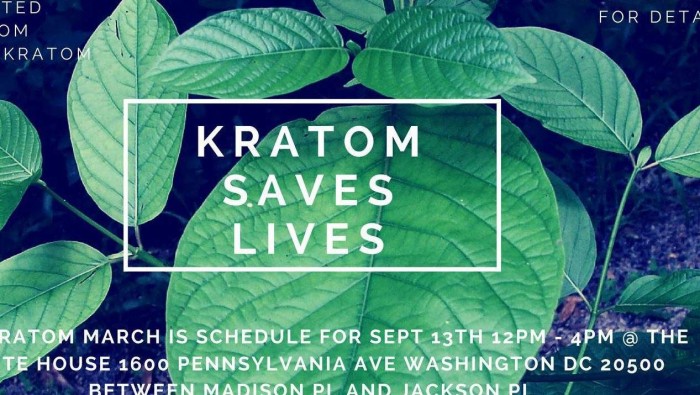 DEA Plays Dumb After Eviscerating Criticism of Kratom Ban: Kratom March is September 13