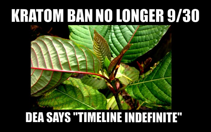 Kratom Ban No Longer September 30: DEA Says Timetable Indefinite