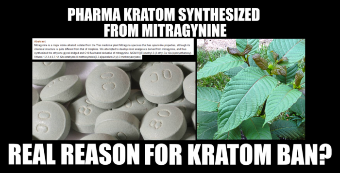 “Pharmaceutical Kratom” Real Reason for Kratom Ban? New Opioid “MGM-15” Derived from Mitragynine