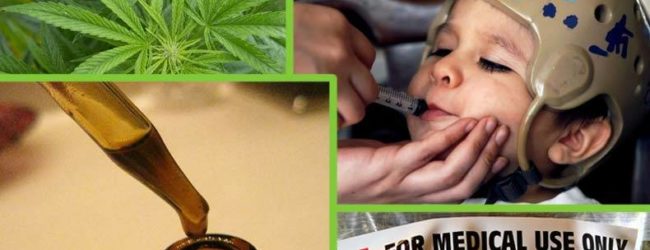 DEA Slapped in Face: American Epilepsy Society Accepts Marijuana Extract Obliterates Seizures in Epileptic Children