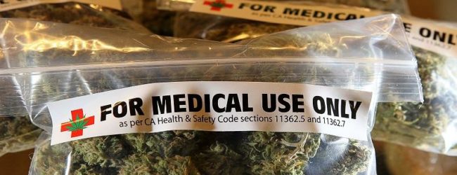 New Study Reveals Medical Marijuana Saves over $165 Million in Annual Medicare Costs in United States