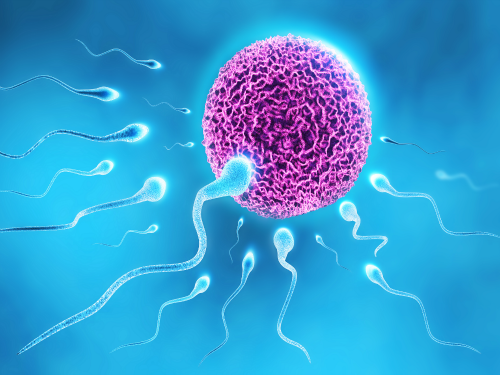 Australian Study Finds That Cell Phone Radiation Kills Sperm