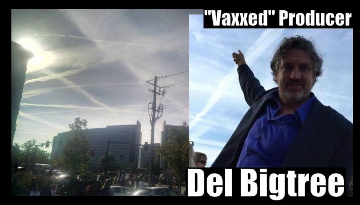 Illness, Respiratory Symptoms After CDC Protesters Hit by Chemtrails, Including “Vaxxed” Producer