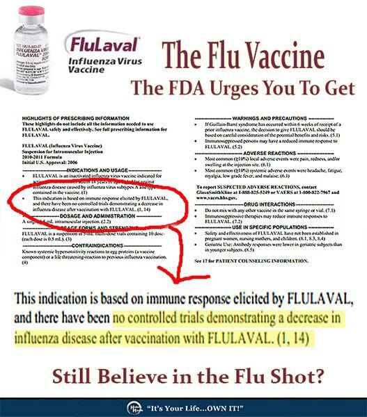 Giving a FluLaval shot to a 200 pound man is 79,365.587 times greater than the FDA recommendations
