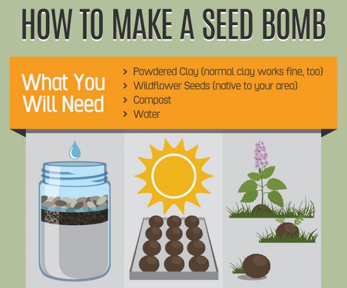 How To Make A Seed Bomb And Transform Your Local Community (w/Infographic)