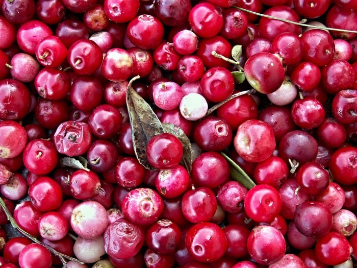 5 Exciting Ways to Use Cranberries