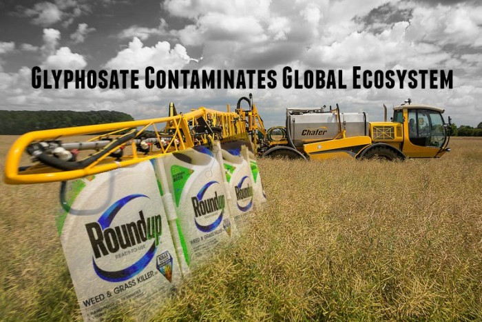 Glyphosate Contaminates the Global Ecosystem: The Damning New PAN Report