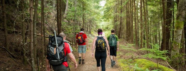 Scientific Evidence: 5 Powerful Ways Hiking Alters Your Brain