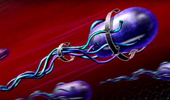nanobot-virus