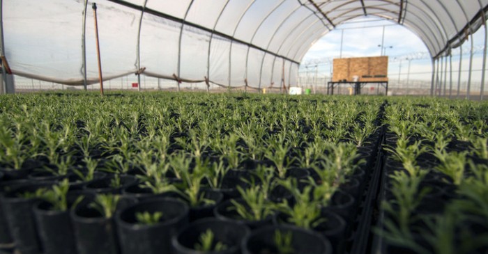 Revolutionary Prison System Teaches Organic Farming To Fight Recidivism