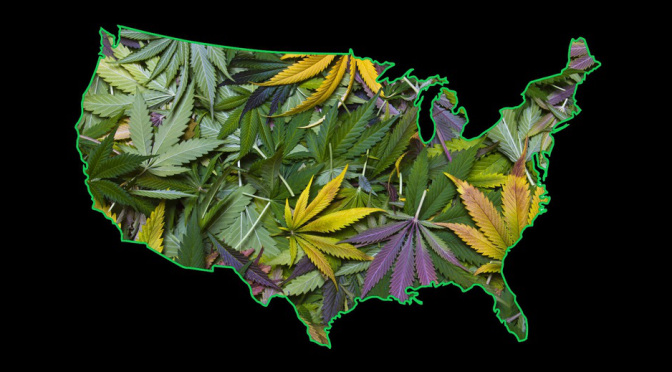 which-states-are-voting-to-legalize-pot-1