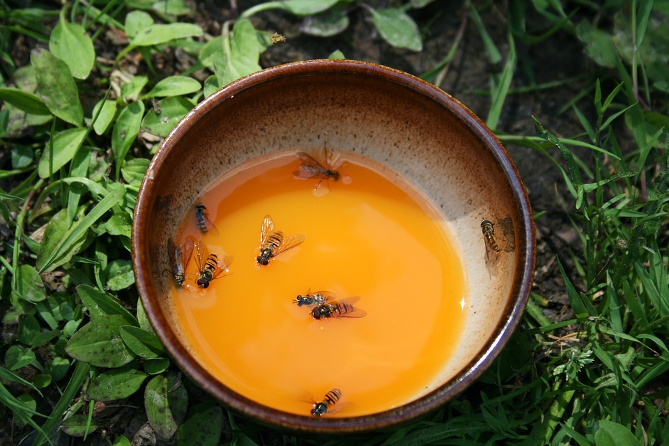 bee-deaths-bayer