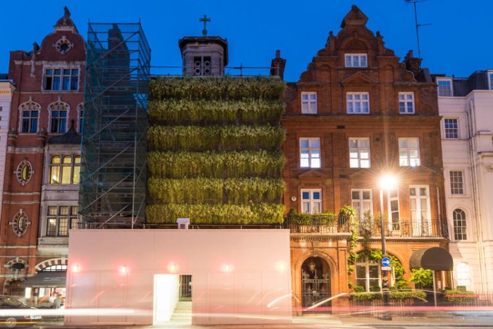 A Living Wall Covers This Construction Site Instead of Ugly Scaffolding