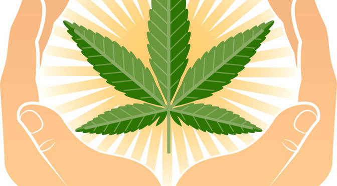 The Healing Plant: Medical Marijuana, Hemp, And Cannabis Oil