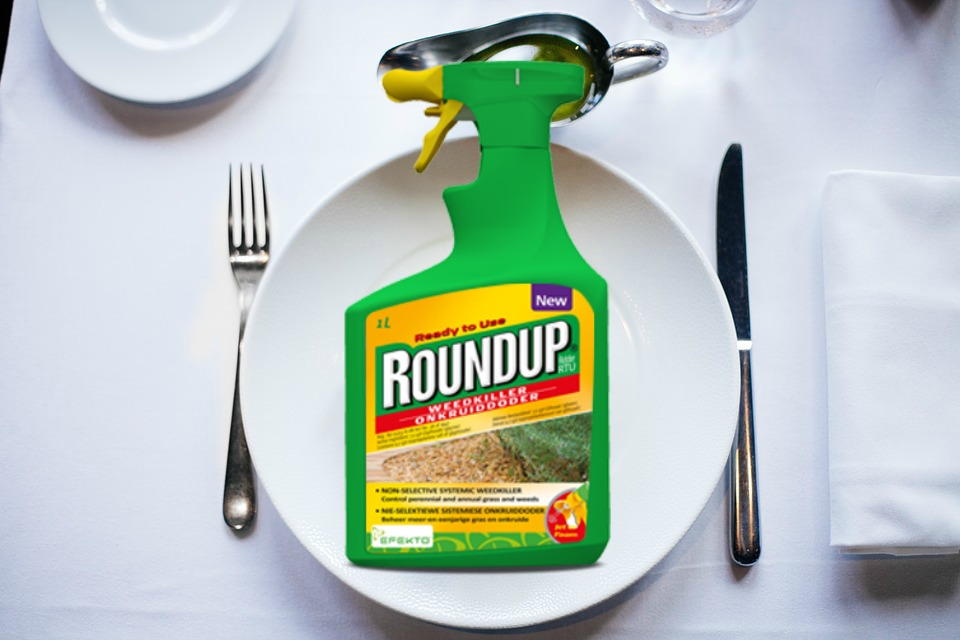 roundup glyphosate food